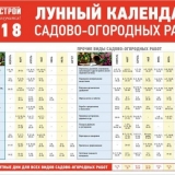 Kako posaditi paradajz za sadnice prema lunarnom kalendaru 2018